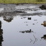 Nigeria moves to implement laws on oil pollution compensation – Businessday
