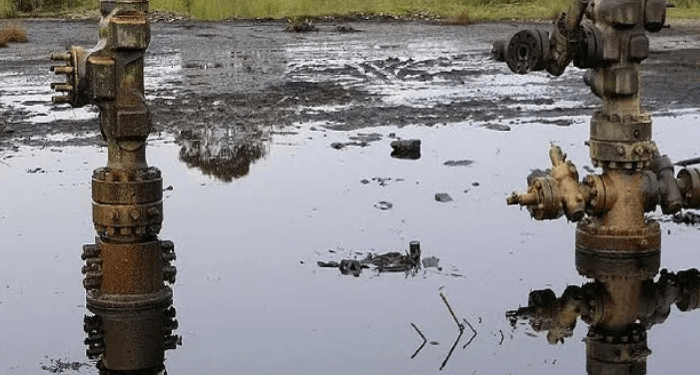 Nigeria moves to implement laws on oil pollution compensation – Businessday