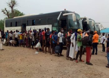NEMA receives 129 Nigerians stranded in Niger Republic – Punch Newspapers