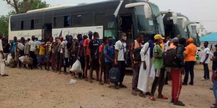 NEMA receives 129 Nigerians stranded in Niger Republic – Punch Newspapers