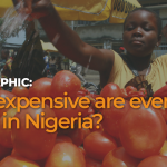 Infographic: How expensive are everyday items in Nigeria? – Al Jazeera English
