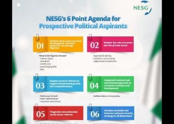 2023: NESG proposes 6-point agenda towards salvaging Nigeria – Businessday