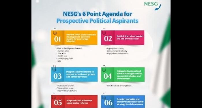 2023: NESG proposes 6-point agenda towards salvaging Nigeria – Businessday