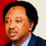 Anambra lawmaker’s beheading shows lawlessness spreading in Nigeria – Shehu Sani – Daily Post Nigeria