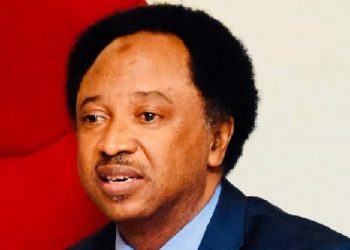 Anambra lawmaker’s beheading shows lawlessness spreading in Nigeria – Shehu Sani – Daily Post Nigeria