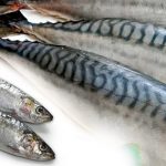 2.4 million metric tonnes fish imports depleting Nigeria’s forex –FG – Punch Newspapers