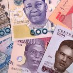 Naira notes will be out of circulation soon, says CBN official – Punch Newspapers