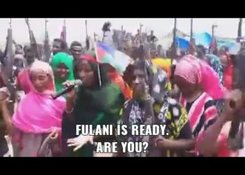 FACT CHECK: Are gun-wielding protesters in viral video Fulanis from Nigeria? – Daily Trust