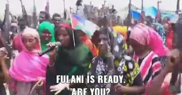 FACT CHECK: Are gun-wielding protesters in viral video Fulanis from Nigeria? – Daily Trust
