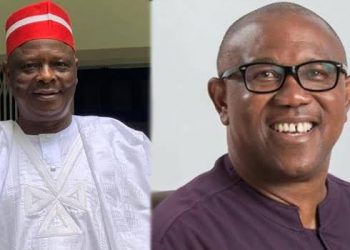 Talks with Kwankwaso’ll lead to Nigeria’s rebirth – Peter Obi’s aide – Punch Newspapers