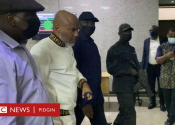 Nnamdi Kanu news today: FG blame Kanu for Gulak, Akunyili, Nigeria policemen, sojas murder – BBC