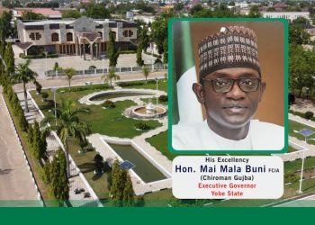 BHCPF: Yobe Govt. To Enroll Additional 22,428 Destitute – NNN NEWS NIGERIA