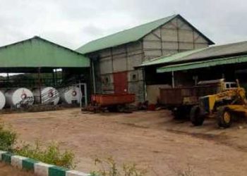 ITF rewards rubber factory for training its personnel – Guardian Nigeria