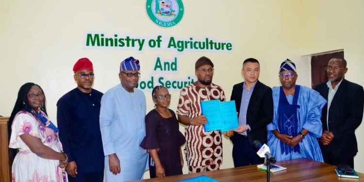 Ogun Takes Major Leap with Rice, Cotton Cultivation Project in Yewa/North Imeko-Afon Federal Constituency