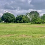 Unity Park with lawns, palm trees and walkways in Uyo, Akwa Ibom State, Nigeria