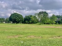 Unity Park with lawns, palm trees and walkways in Uyo, Akwa Ibom State, Nigeria