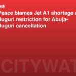 Air Peace blames Jet A1 shortage and Maiduguri restriction for Abuja-Maiduguri cancellation