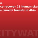 Police recover 28 human skulls from Isuochi forests in Abia